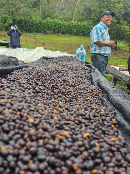 Abu Geisha Anaerobic Natural #3170