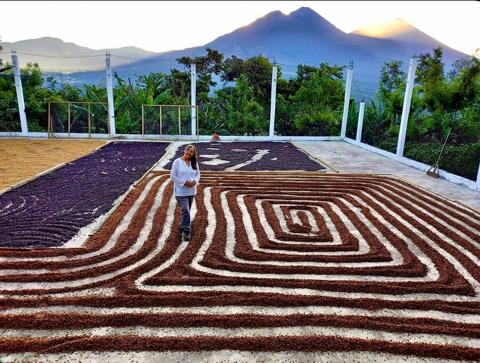 La Senda Natural Anaerobic Geisha