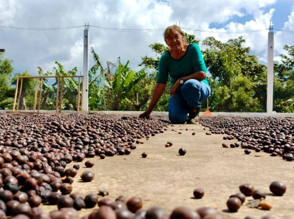 La Senda Natural Anaerobic Geisha
