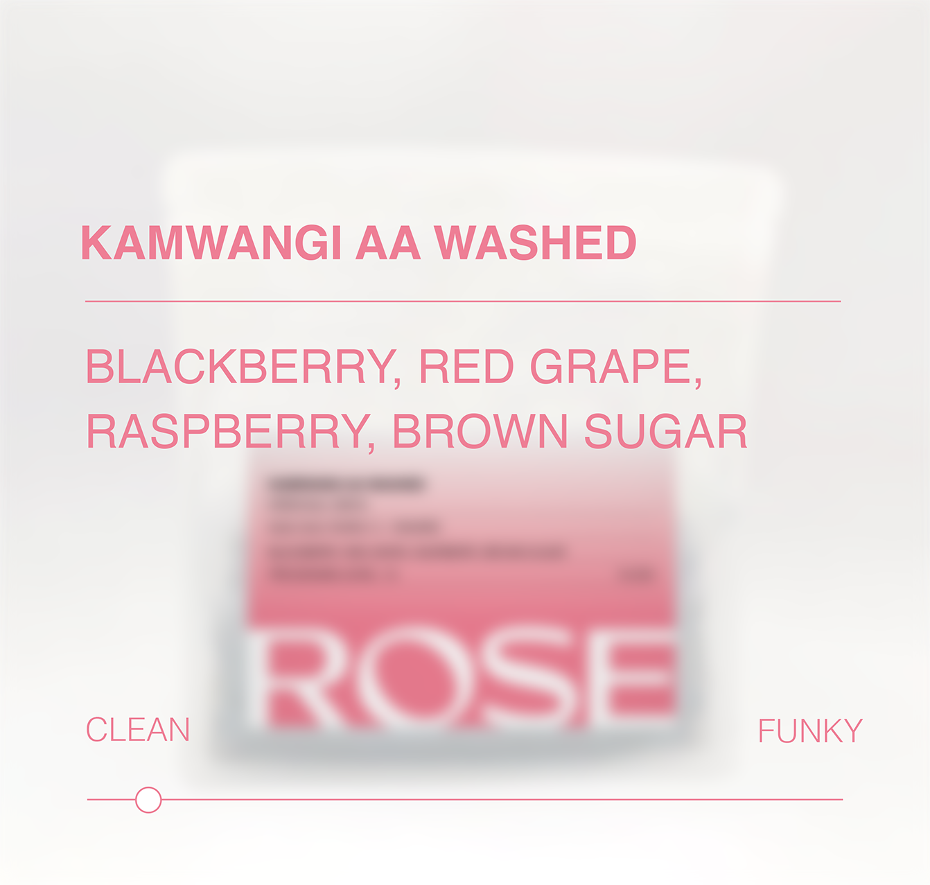 Kamwangi AA Washed