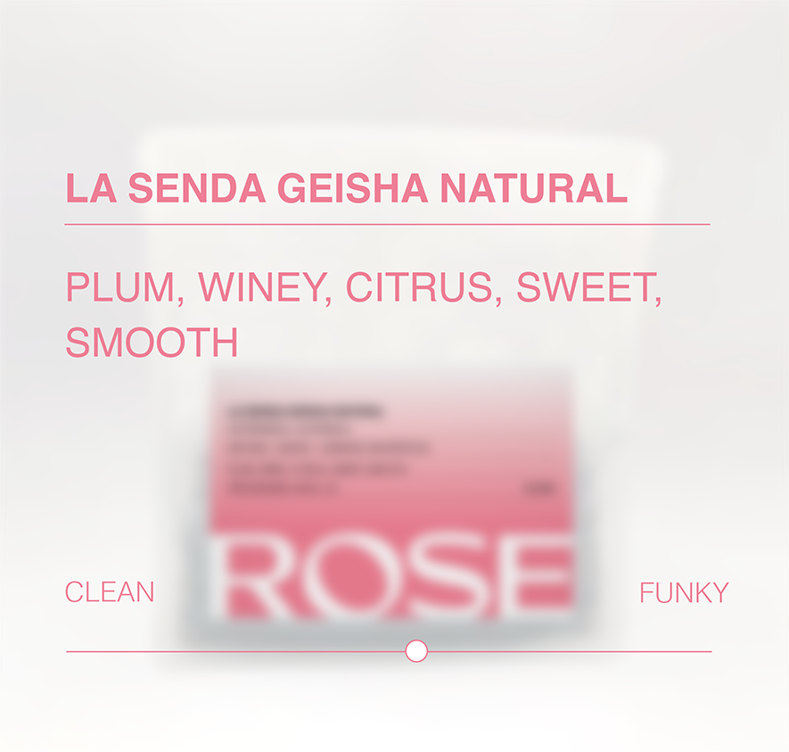 La Senda Natural Geisha tasting notes and processing scale