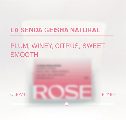 La Senda Natural Geisha tasting notes and processing scale